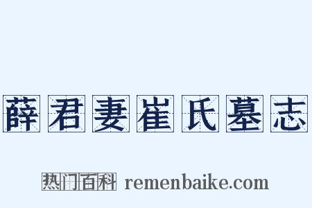 薛君妻崔氏墓志是什么意思的图片